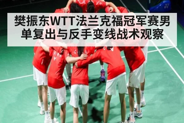 樊振东WTT法兰克福冠军赛男单复出与反手变线战术观察 | kaiyun