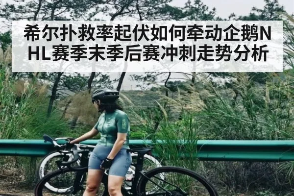 希尔扑救率起伏如何牵动企鹅NHL赛季末季后赛冲刺走势分析 | kaiyun